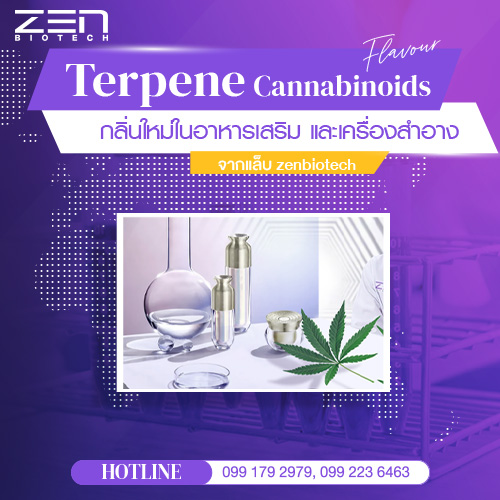 TERPENES Cannabinoids Flavour กลิ่นใหม่ในอาหารเสริม และเครื่องสำอาง จากแล็บ zenbiotech