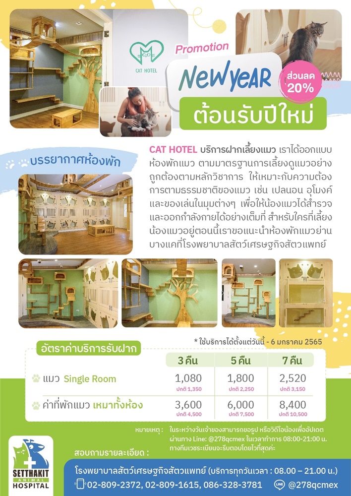 ข่าวสัตว์เลี้ยง - รีวิว โรงแรมแมว - โรงพยาบาลสัตว์ เศรษฐกิจสัตวแพทย์