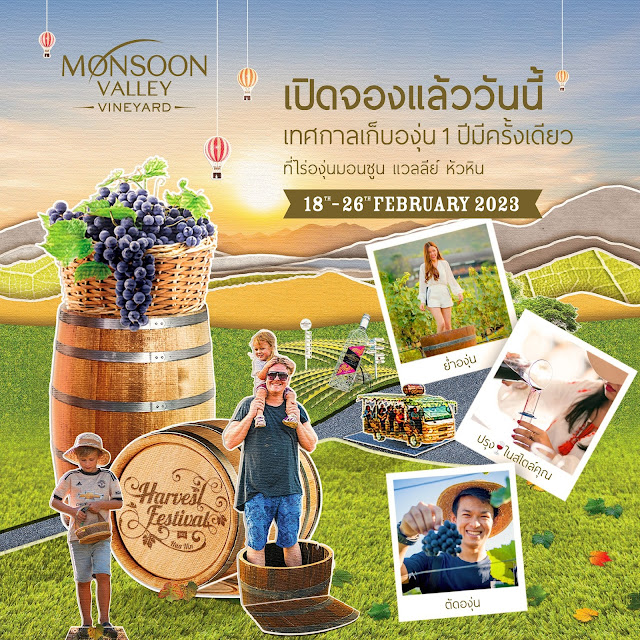 ข่าวท่องเที่ยว - กลับมาอีกครั้งกับงานประจำปี ?Monsoon Valley?s Harvest Festival 2023? ณ ไร่องุ่น มอนซูน แวลลีย์ หัวหิน