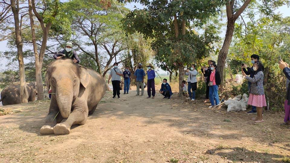 สำนักงานพัฒนาฝีมือแรงงานบุรีรัมย์ สร้างทักษะการสร้างสื่อมัลติมีเดียให้กลุ่มเลี้ยงช้าง