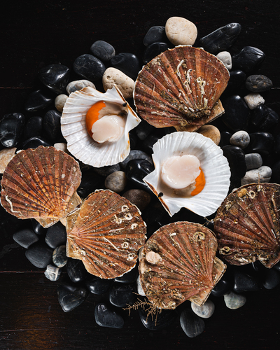 ข่าวอาหาร, เครื่องดื่ม - สการ์เล็ตเปิดตัวเมนูสุดพิเศษ ?The Great Coquilles Saint-Jacques Scallops?