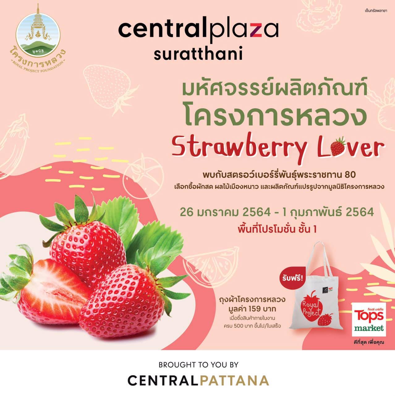 มหัศจรรย์ผลิตภัณฑ์โครงการหลวง : Strawberry Lover