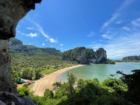 แพ็กเกจ Unique Tonsai ที่ทินิดี ไฮด์อเวย์ ต้นไทร บีช กระบี่