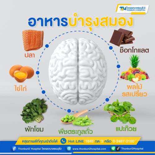 ข่าวสุขภาพ - ป้องกันสมองเสื่อม กับอาหารบำรุงสมอง