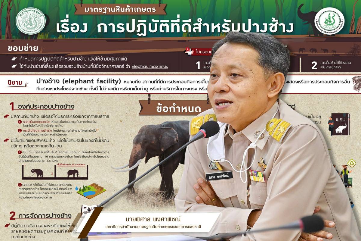 	มกอช. ร่วมงานแถลงข่าว เดินหน้ายกระดับมาตรฐานปางช้าง